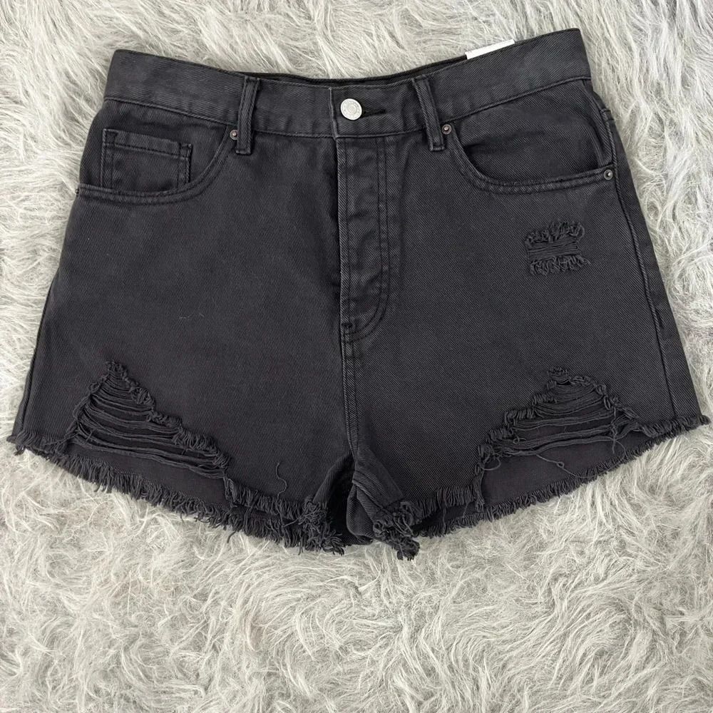 NWT Pacsun size 28 vintage high rise shorts